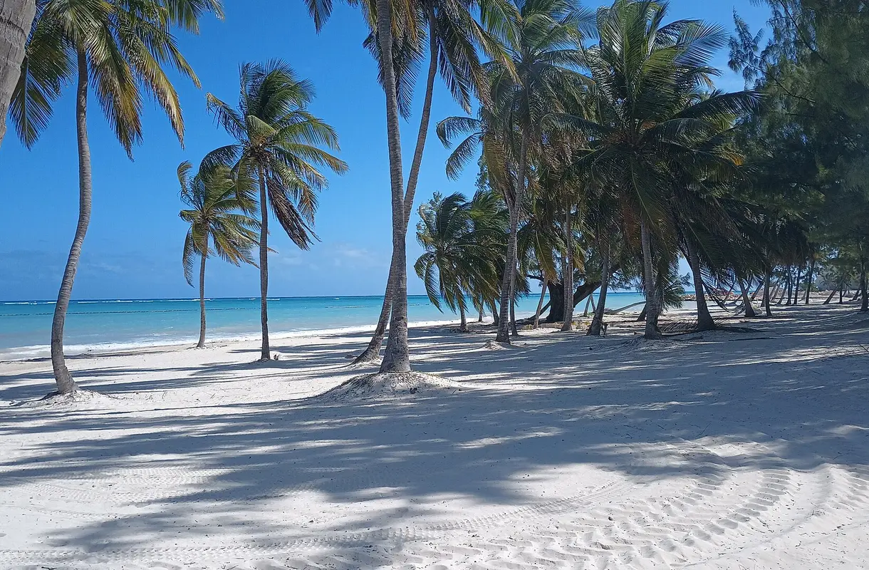 Palm trees beside a white-sand Caribbean beach