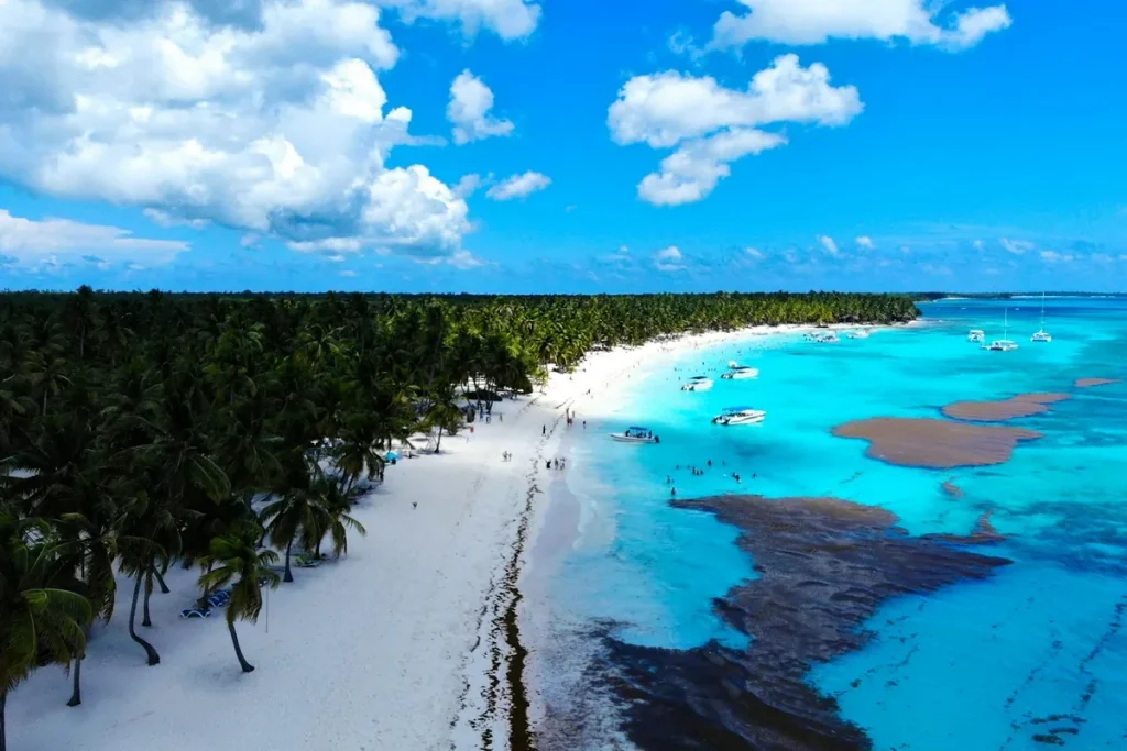 Tropical white-sand beach and turquoise water in Punta Cana, Dominican Republic