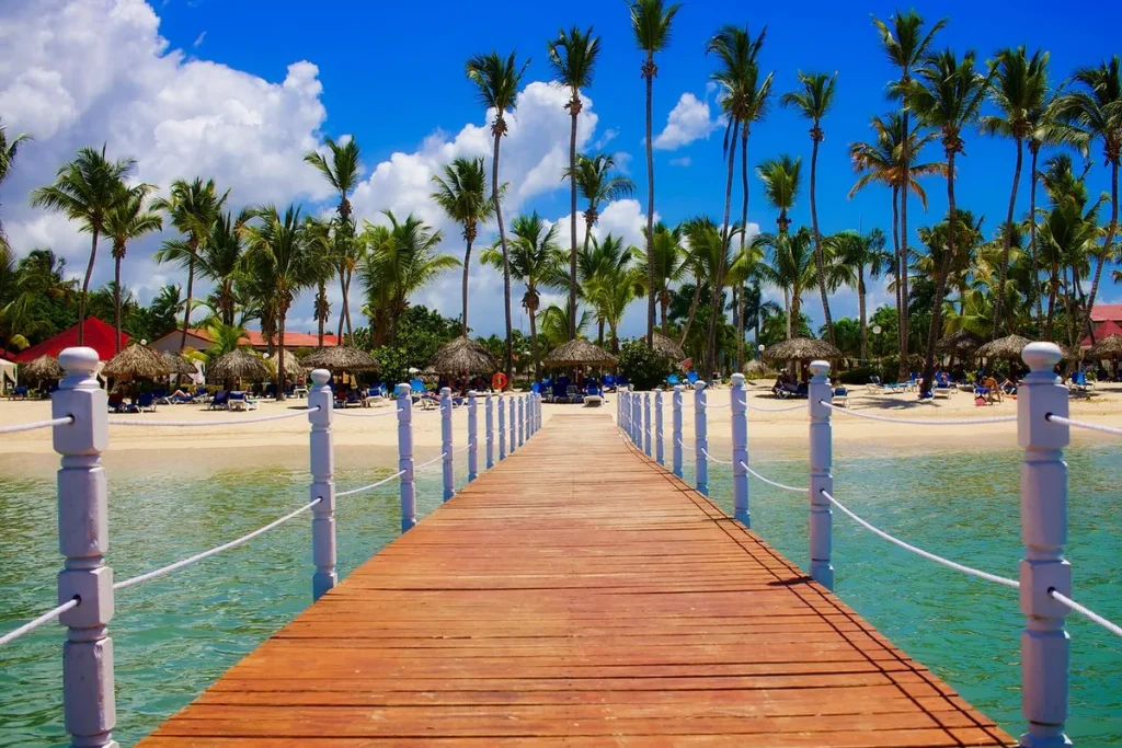 Wooden dock leading to a palm-lined tropical beach with clear blue water in Punta Cana, Dominican Republic