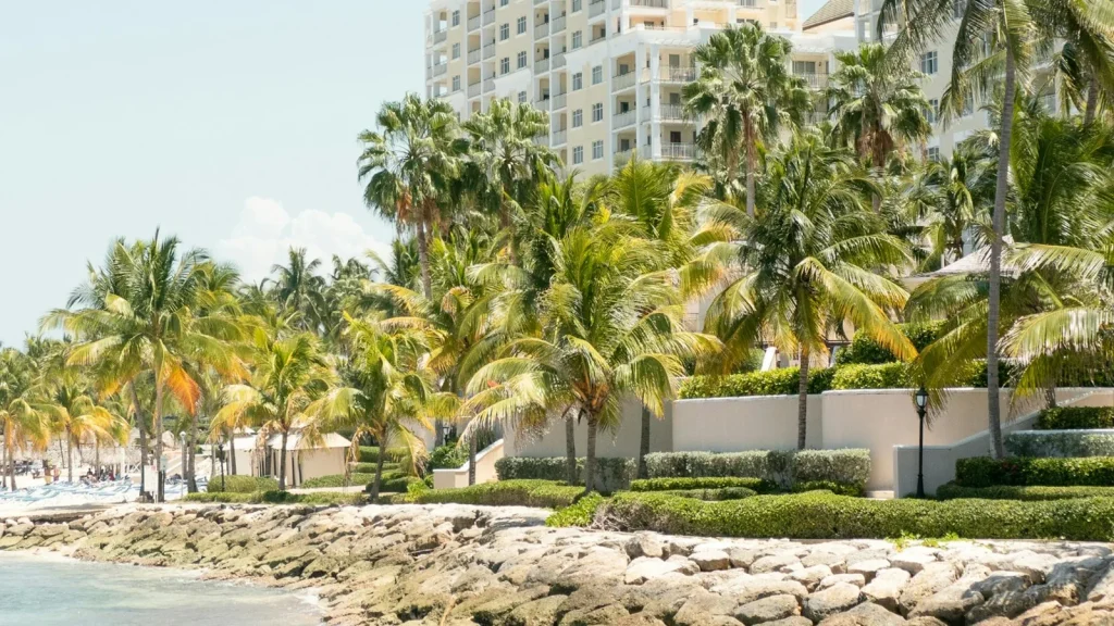 Resort shoreline with palm trees in Montego Bay Jamaica
