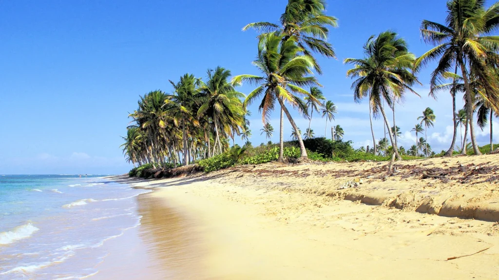 Punta Cana beaches at Bávaro with palm trees and tropical coastline