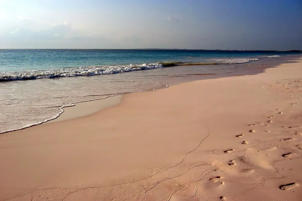 Pink Sands Beach shoreline on Harbour Island Bahamas